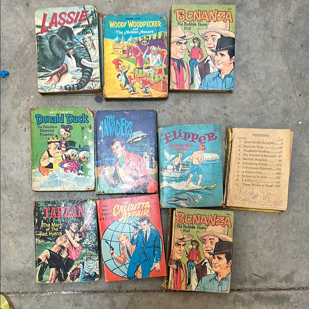 Vintage “ A Big Littlee Book” collection  of 10 mini books.